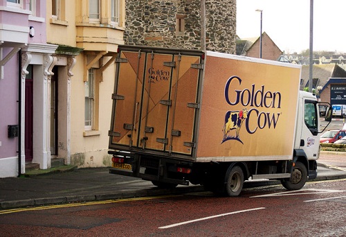 golden cow