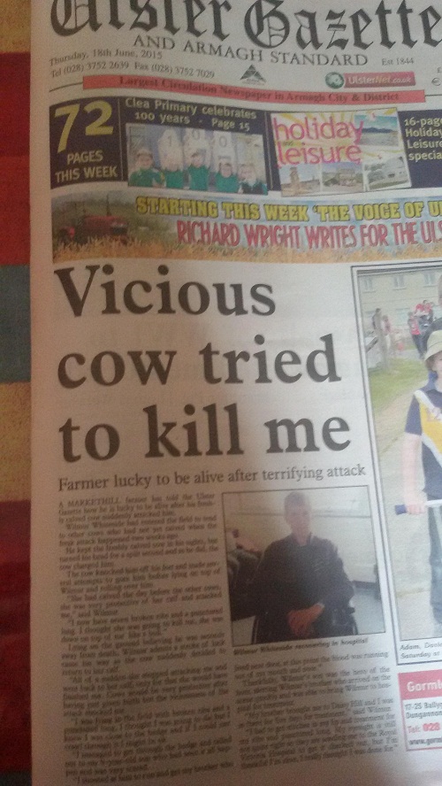 northern ireland newspaper headline