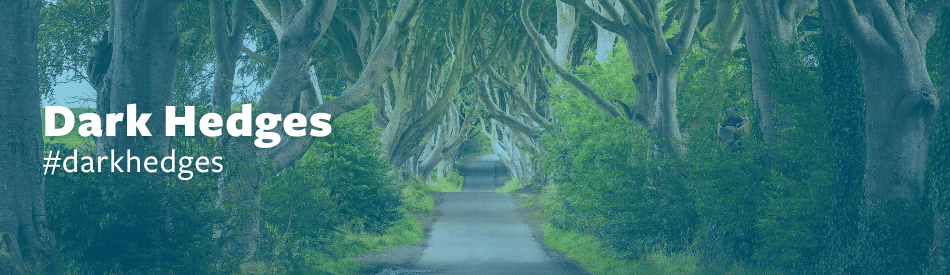 Dark Hedges | NI Parcels