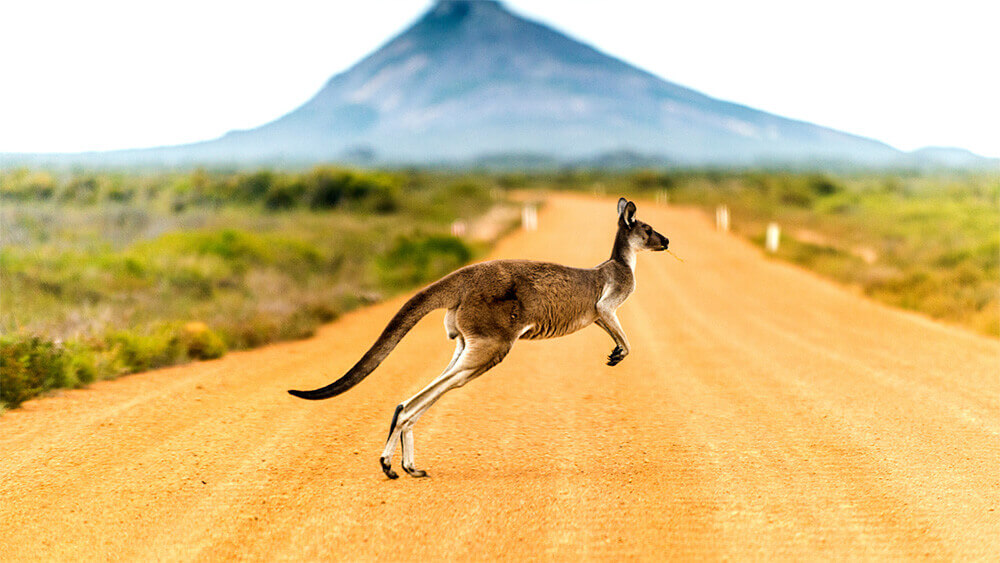 Courier Service to Australia