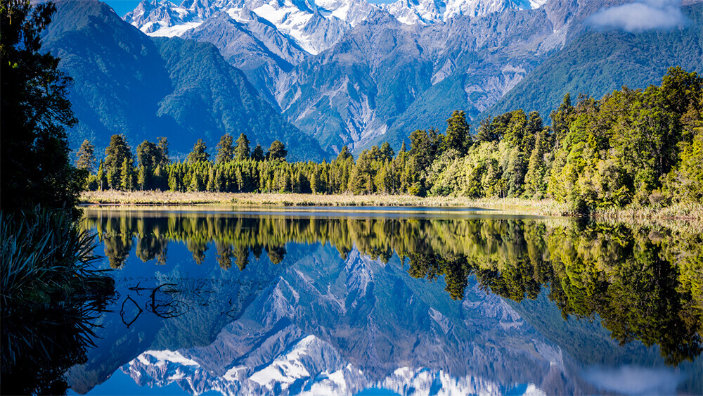 Courier Service to New Zealand